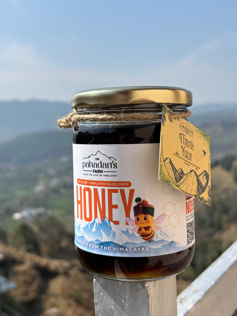 Wild Forest Honey 250 gm