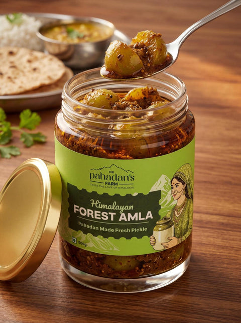 Himalayan Forest Amla Pickle – 200g (Trial Pack)