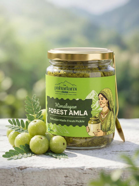 Himalayan Forest Amla Pickle – 500g